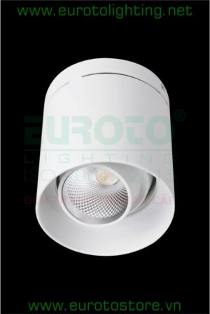 Đèn lon nổi Euroto LN-41 12W